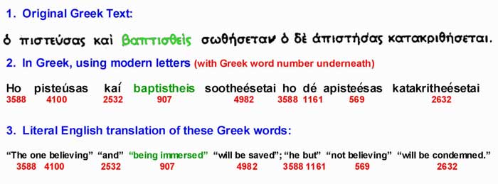 Greek words used in Mark 16:16