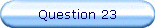 Question 23