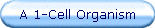A 1-Cell Organism