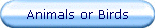 Animals or Birds