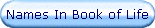 Names In Book of Life